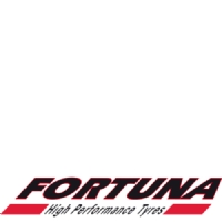 175/65R13 80T Fortuna ECOPLUS HP EE268/DCB68 PCRSCO